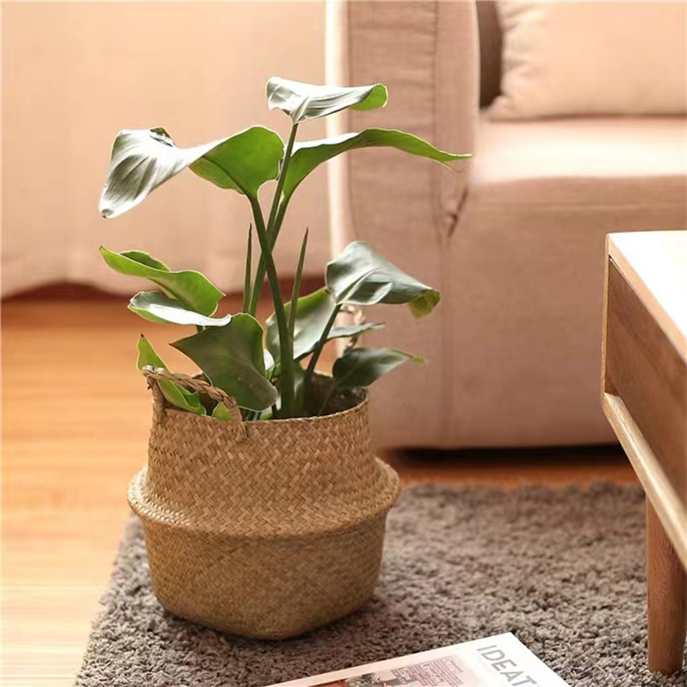 Cesta de plantas com alças ces - Basket Bag Wicker avaliação e preço