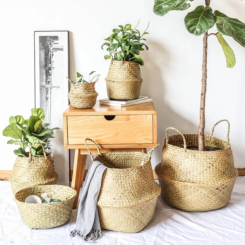 Zerolife cesta de vime de alga - Basket Bag Wicker avaliação e preço